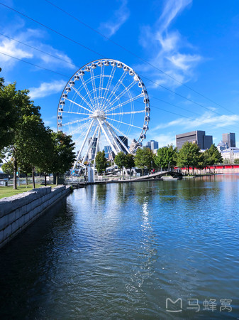 蒙特利尔老港旅游图片,蒙特利尔老港自助游图片,蒙特利尔老港旅游景点