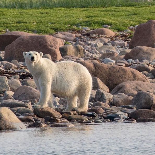 图 | lazybearexpeditions16.