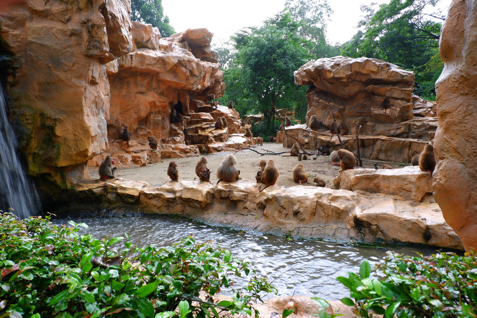 新加坡游记图片  原始图片 所有游记图片 87/96 新加坡动物园 世界