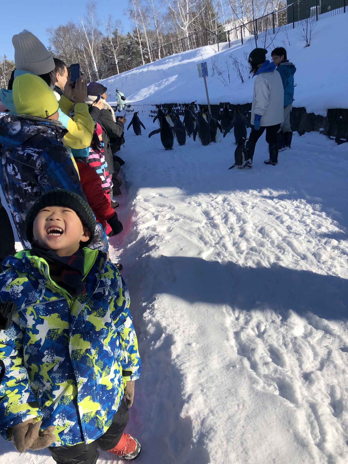 北海道自助遊攻略