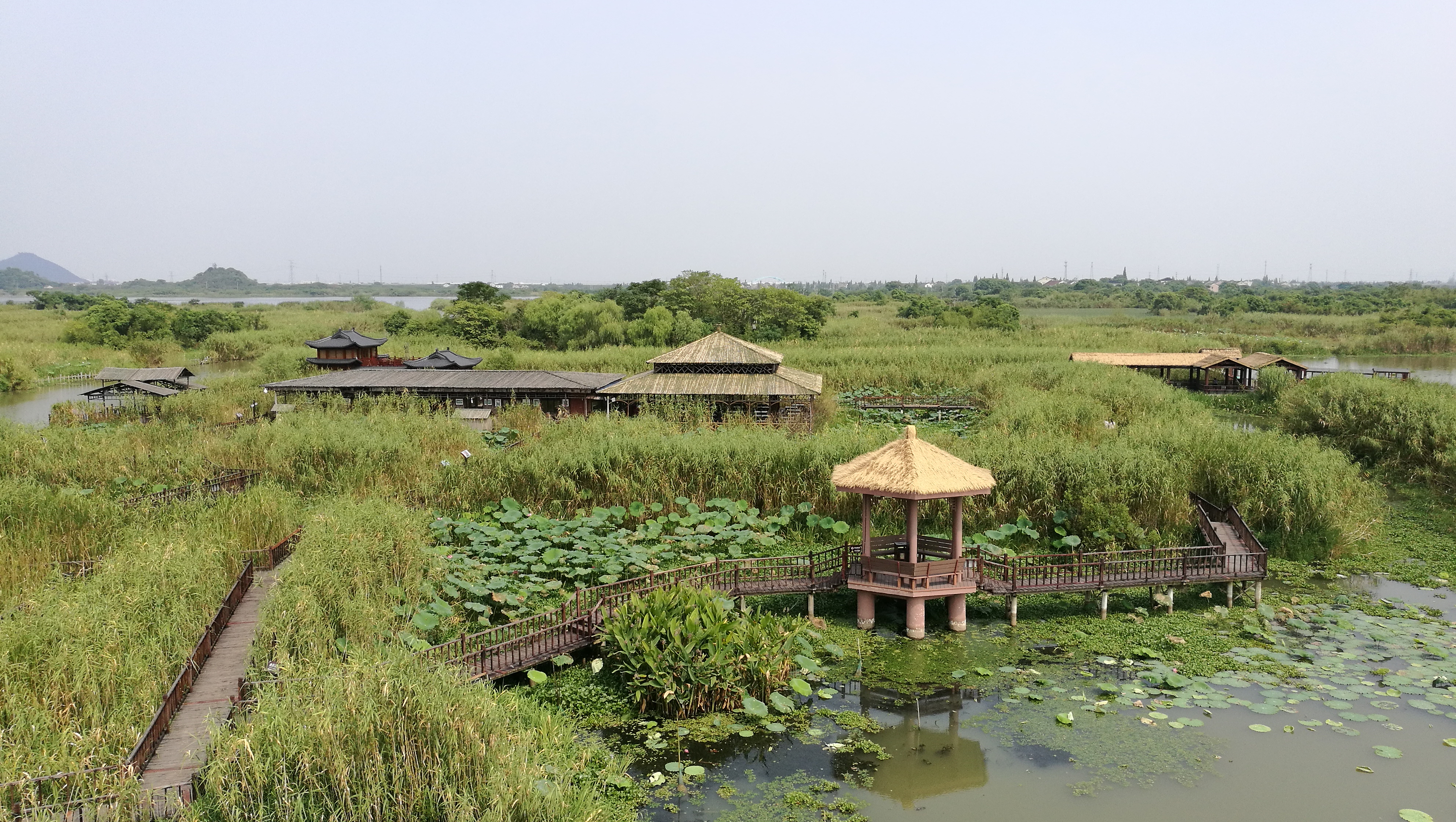 临清胡姚河湿地公园图片