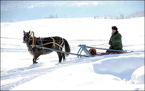 双飞跟团游满族印记亚布力5s滑雪雪地摩托马拉爬犁冰雪画廊冰雪大世界