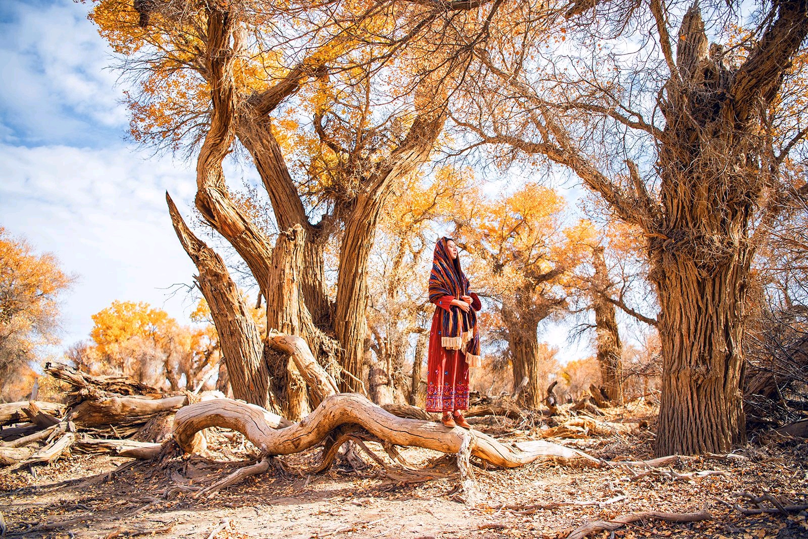 新疆必打卡丨30大经典景点及网红玩法