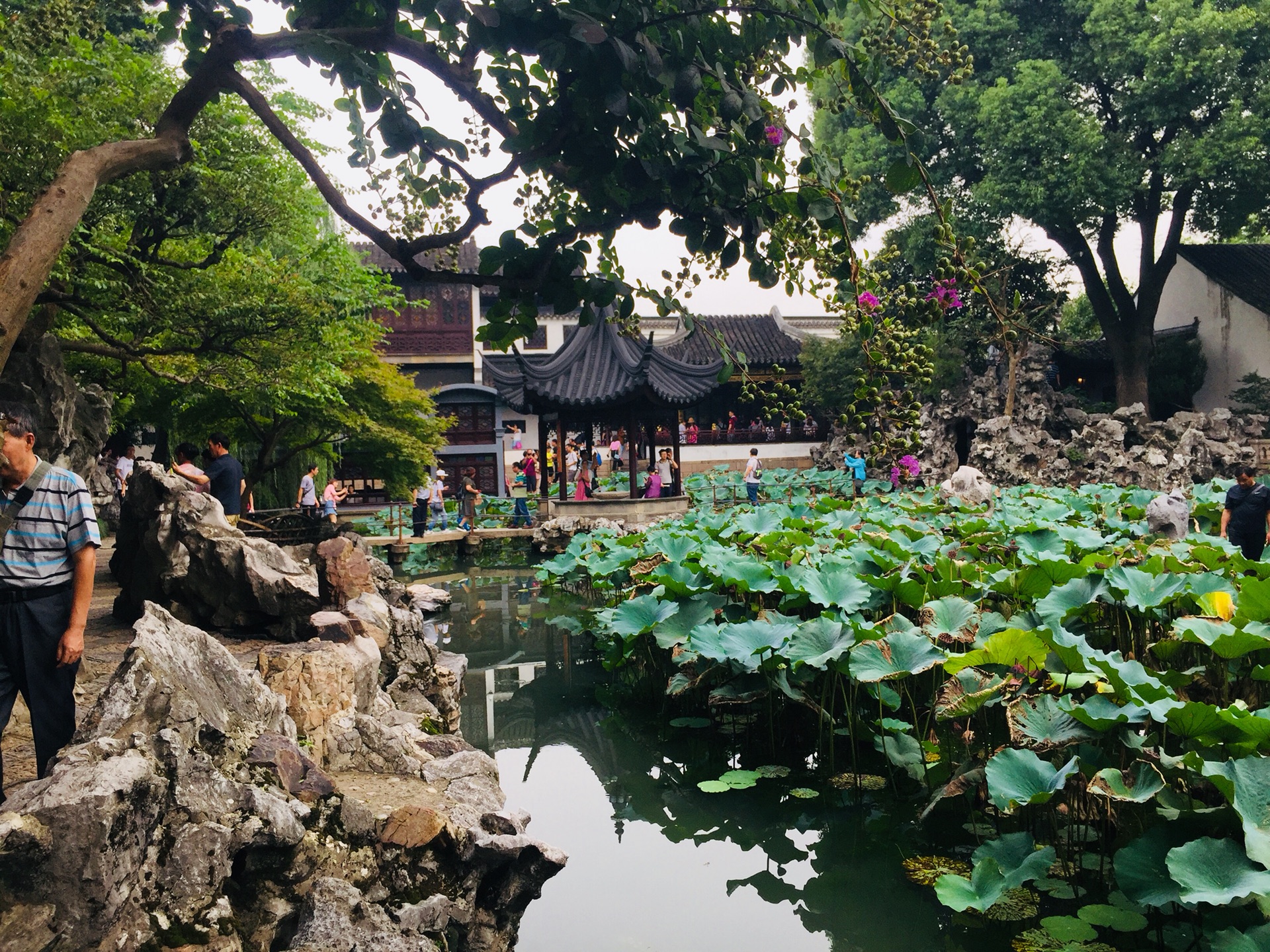 又見江南-蘇杭,蘇州旅遊攻略 - 馬蜂窩