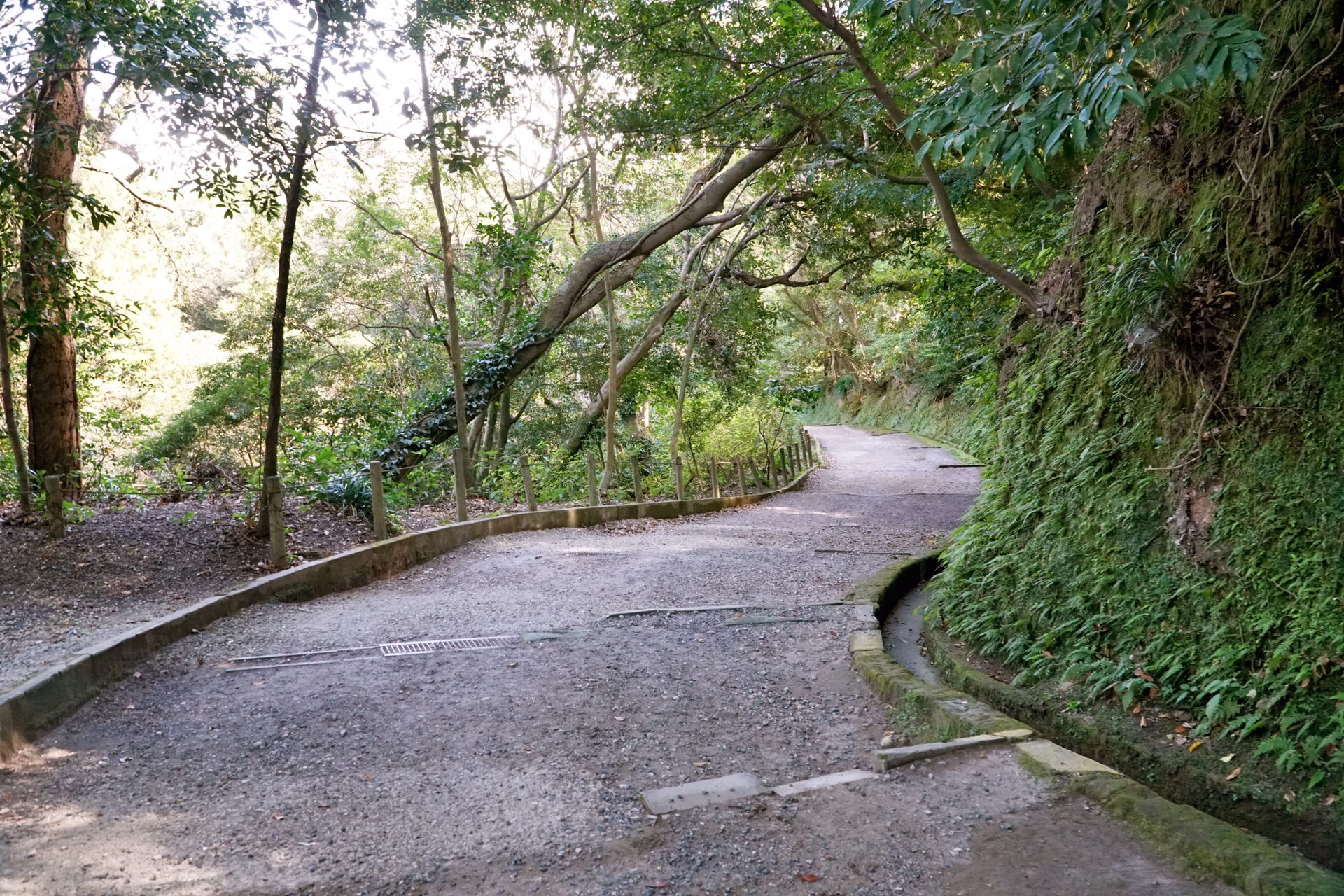 鹿兒島自助遊攻略