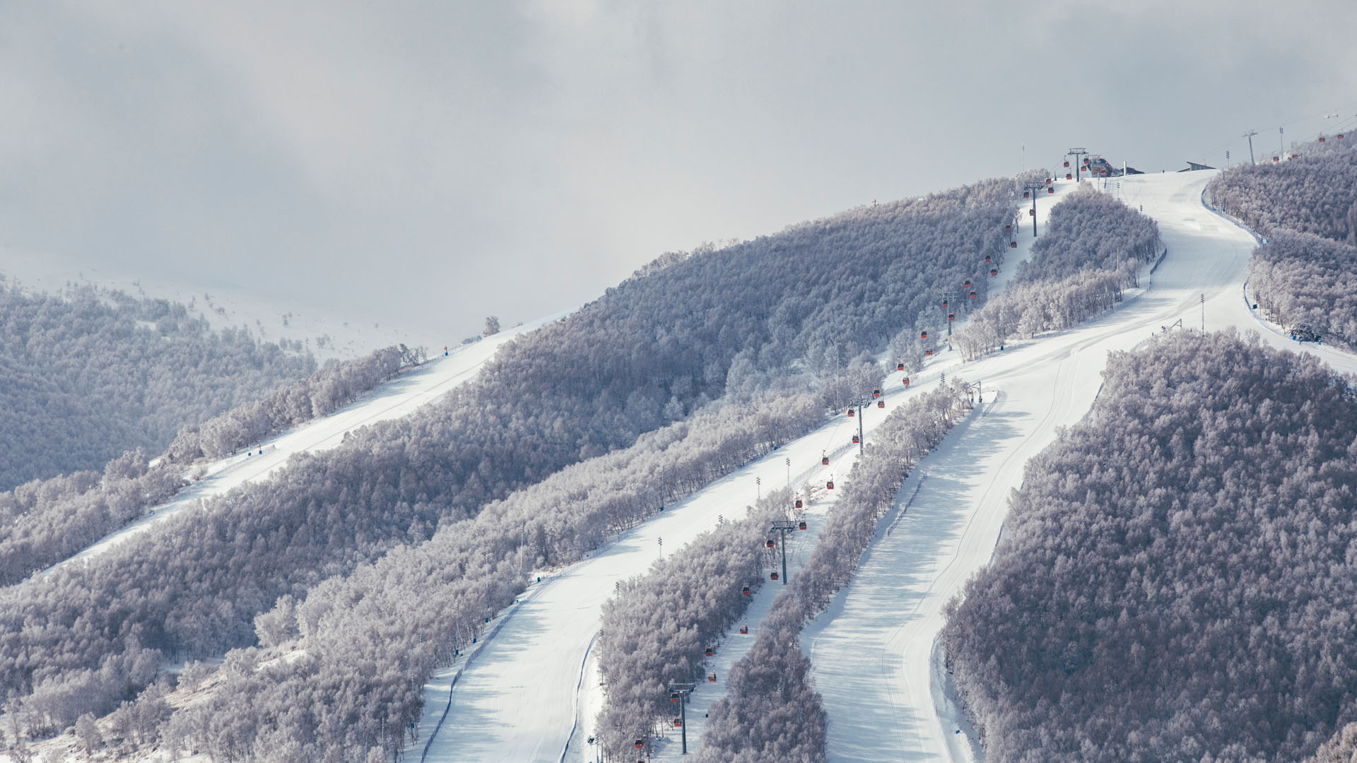 雪末畅滑张家口奥都大酒店住宿1晚太舞滑雪场雪票2张