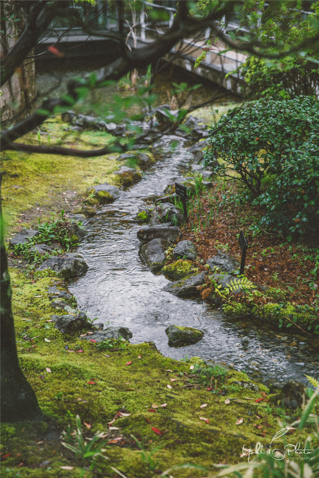 京都自助遊攻略