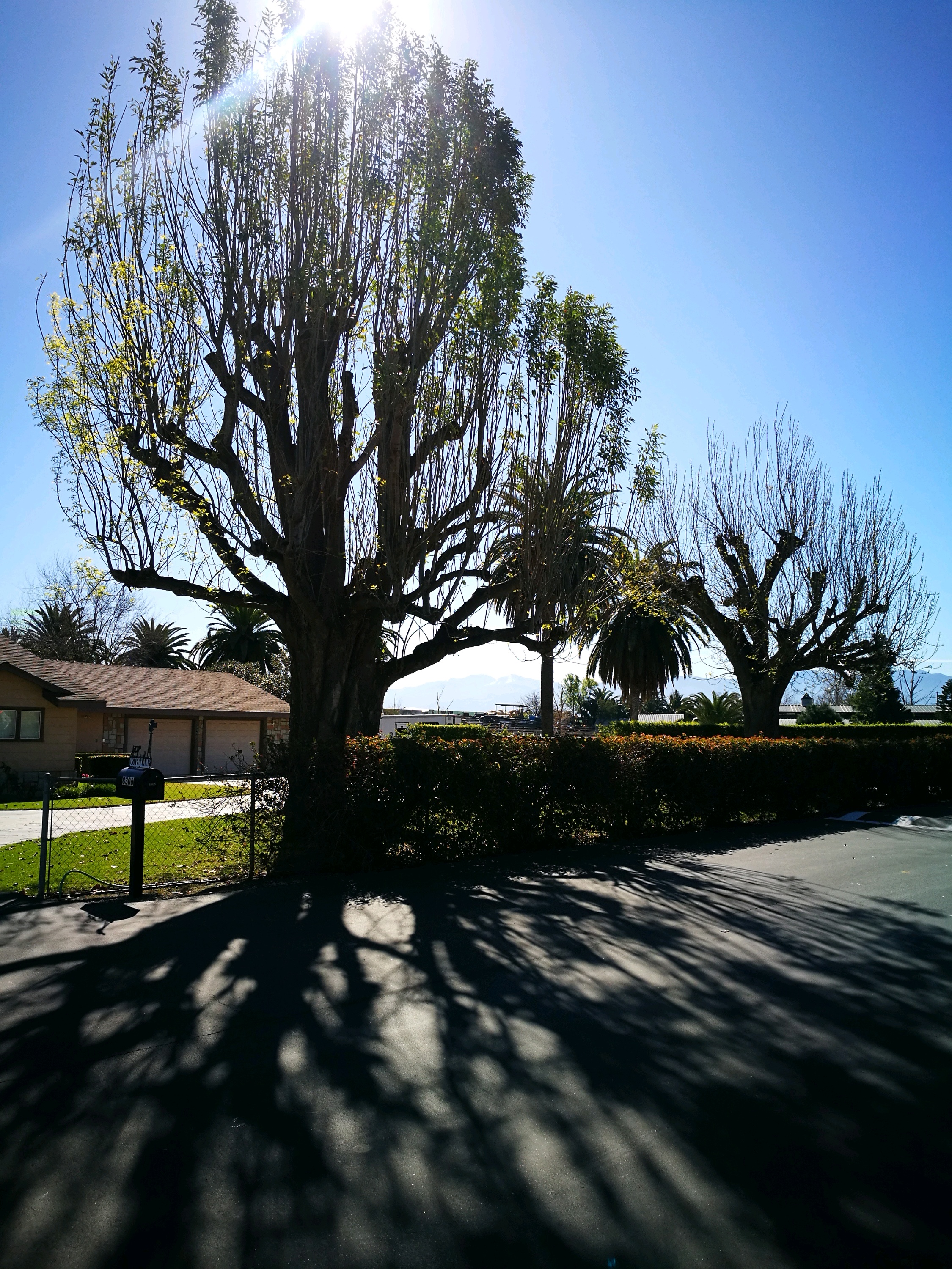 里弗赛德娱乐-River Walk Park