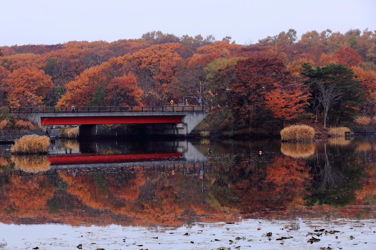 北海道自助遊攻略