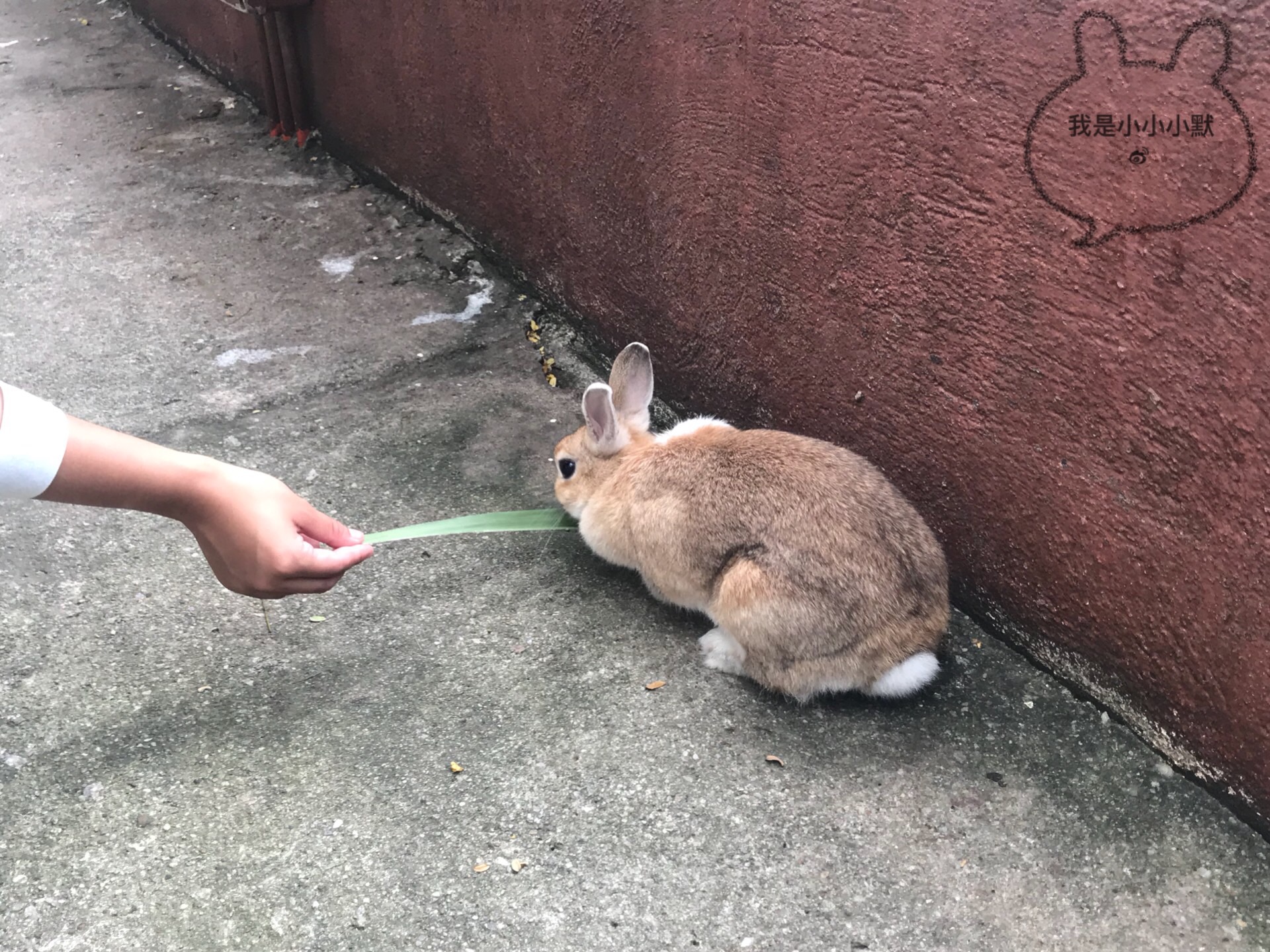 馬來西亞自助遊攻略