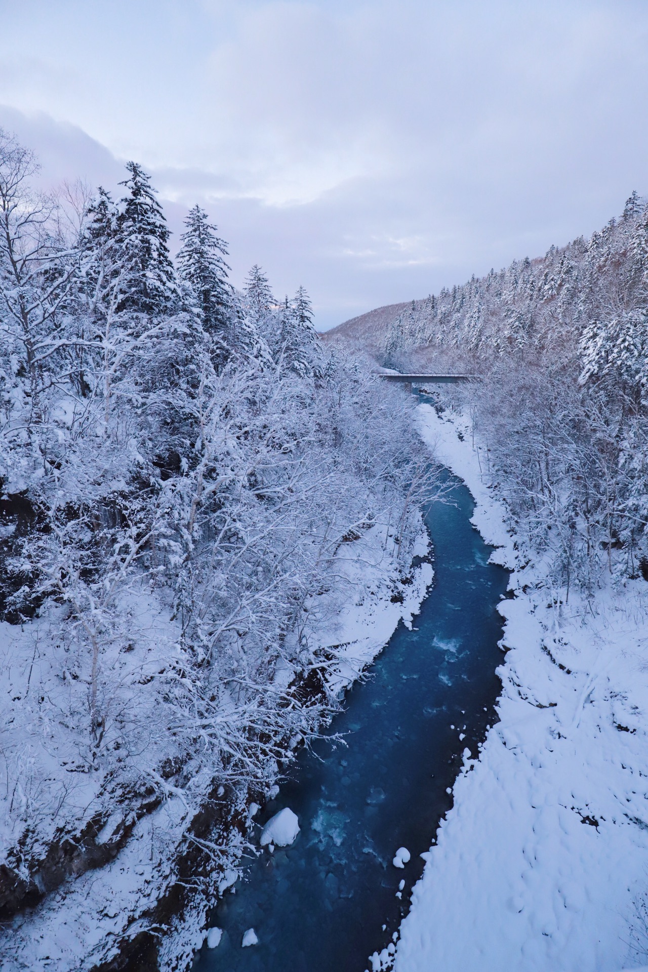 北海道自助遊攻略