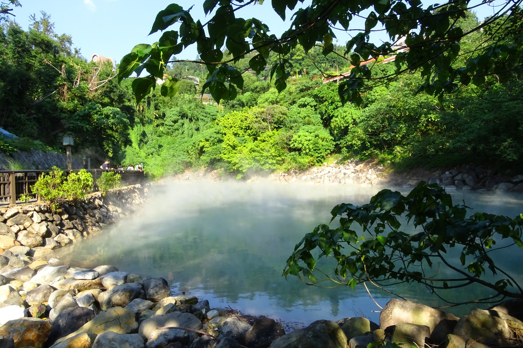 陽明山國家公園花鐘~書屋~小油坑~竹子湖~地熱谷~溫泉圖書館~漁人碼頭