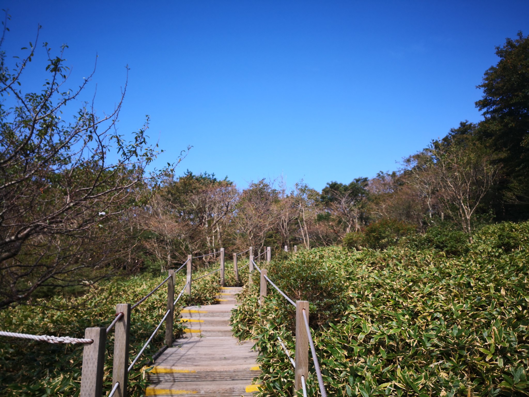 濟州島自助遊攻略