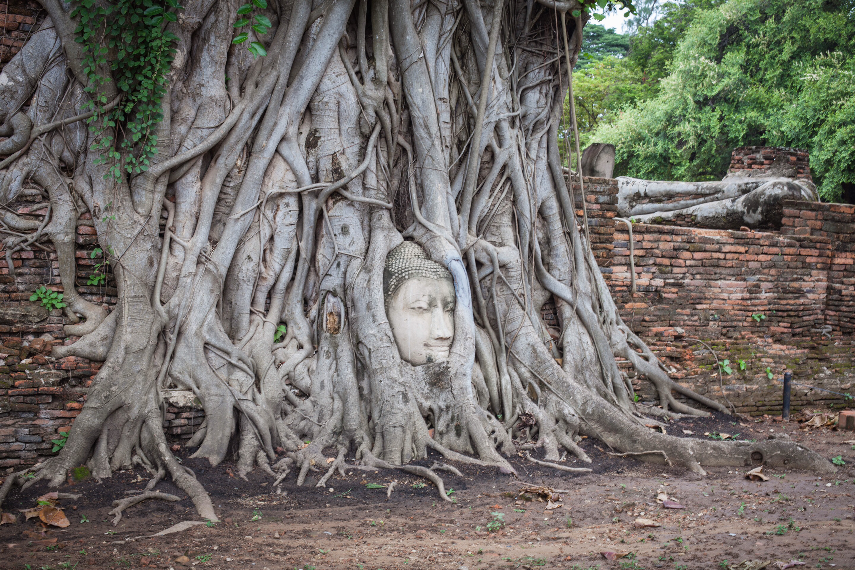 大城美食-Ayutthaya Heritage