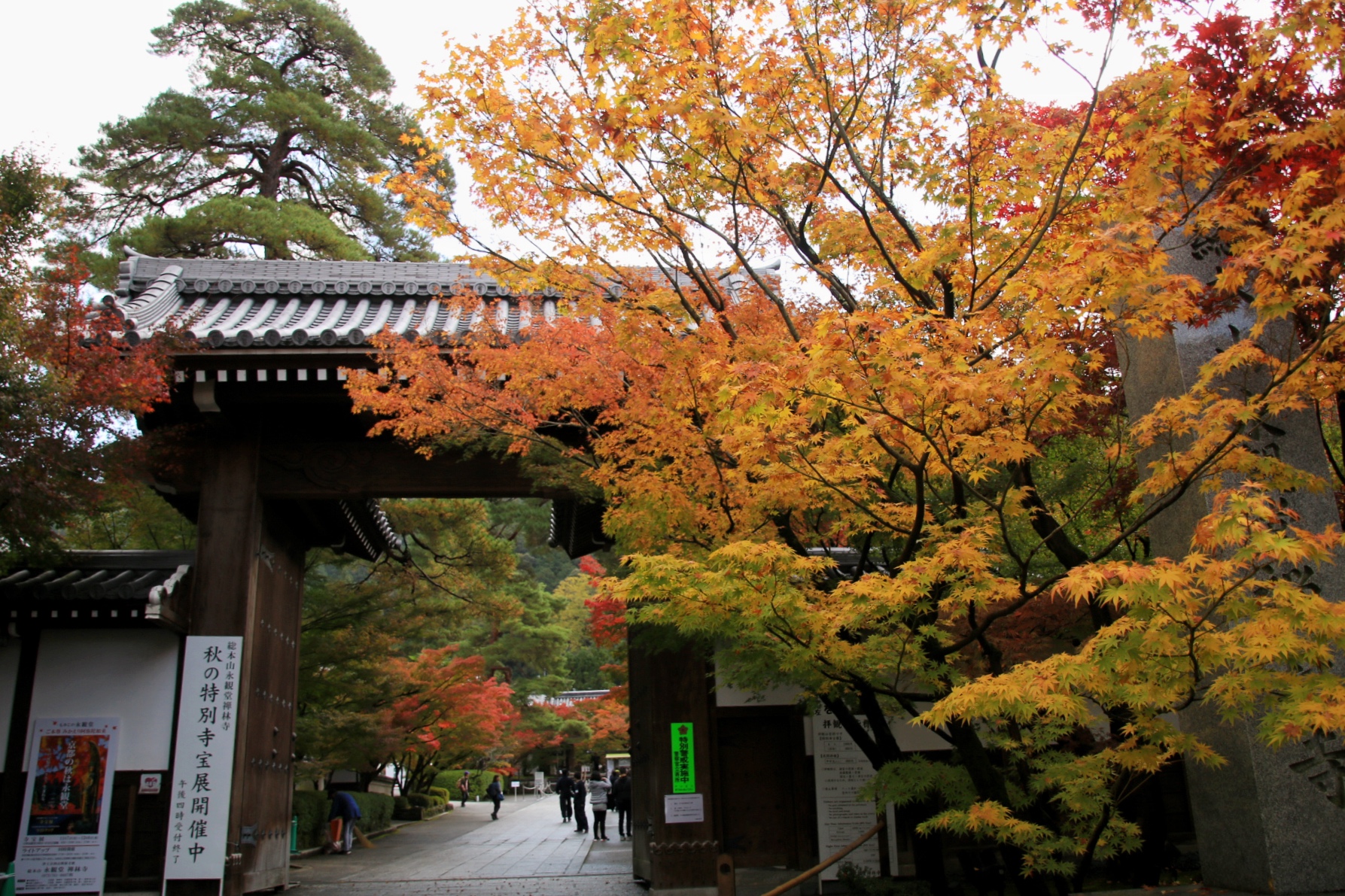 京都自助遊攻略