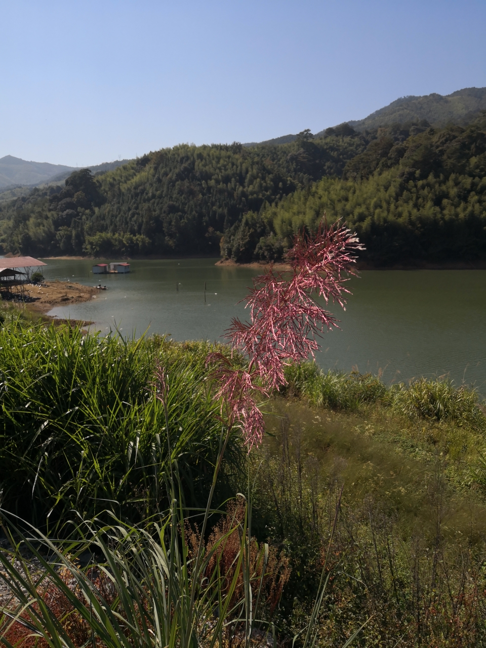 写在南平市延平区巨口乡乡村艺术节前夕