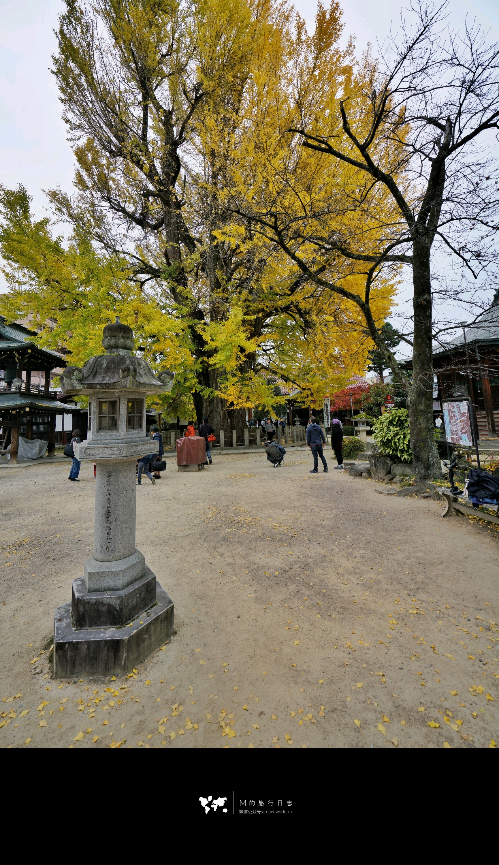 飞弹国分寺攻略 飞弹国分寺门票 地址 飞弹国分寺景点攻略 马蜂窝