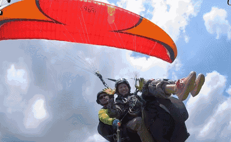 456_281gif 动态图 动图