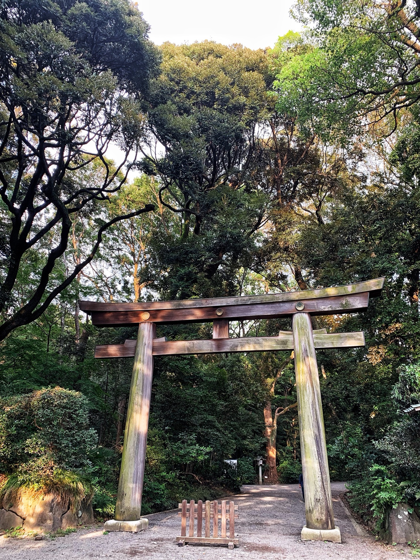 東京自助遊攻略