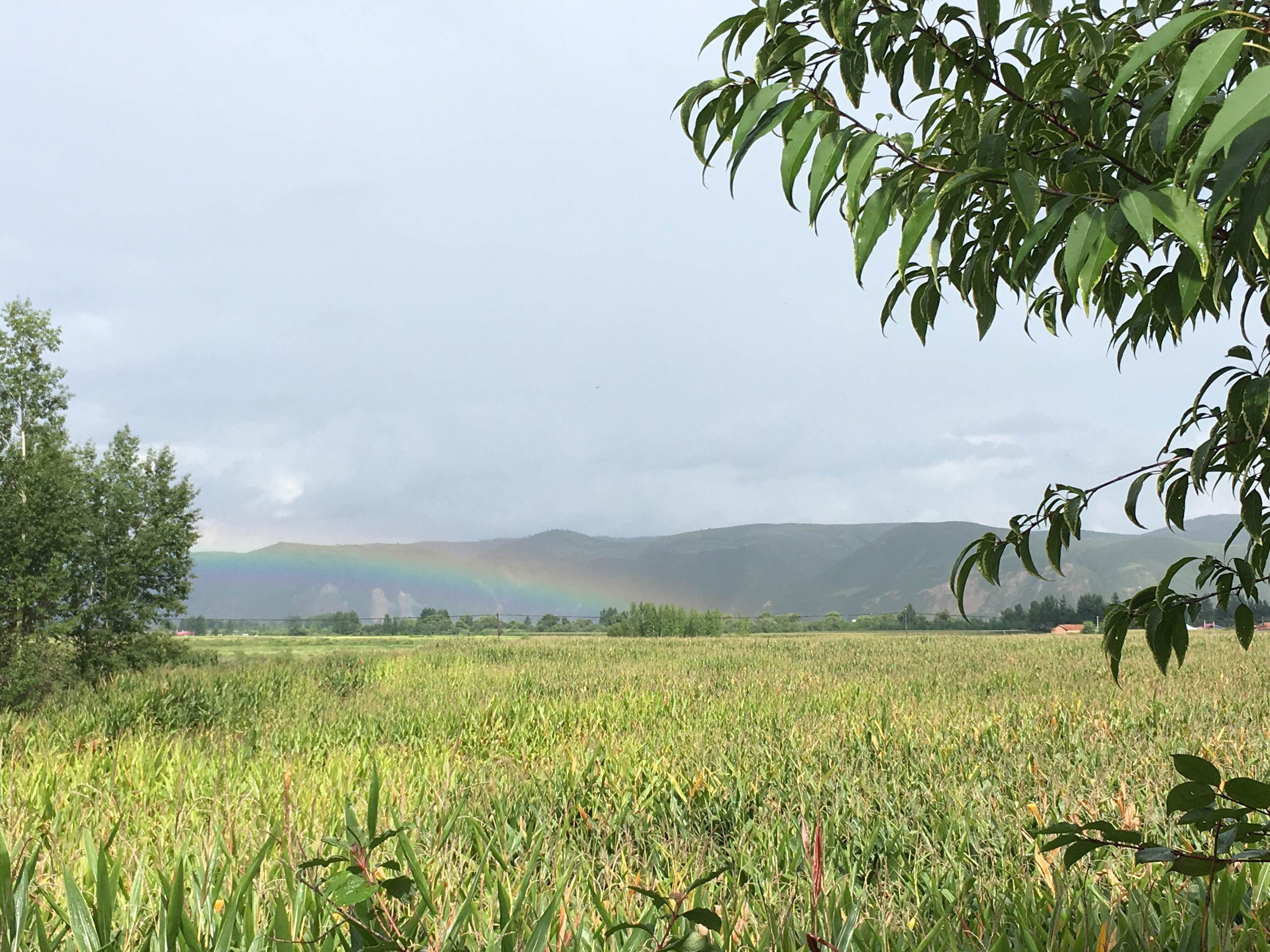 龙山朝鲜族民俗村