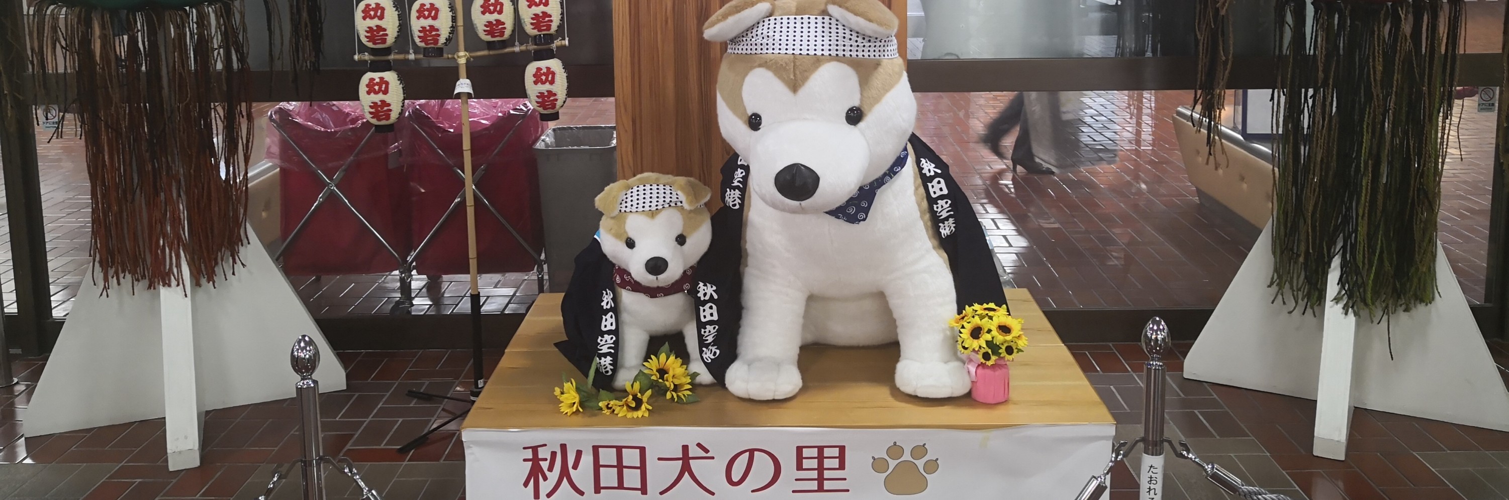 满堂花醉三千客 一骑风行十四州 日本东部7日自驾之旅 秋田 山形 日光 富士 东京超详细攻略 日本旅游攻略 马蜂窝