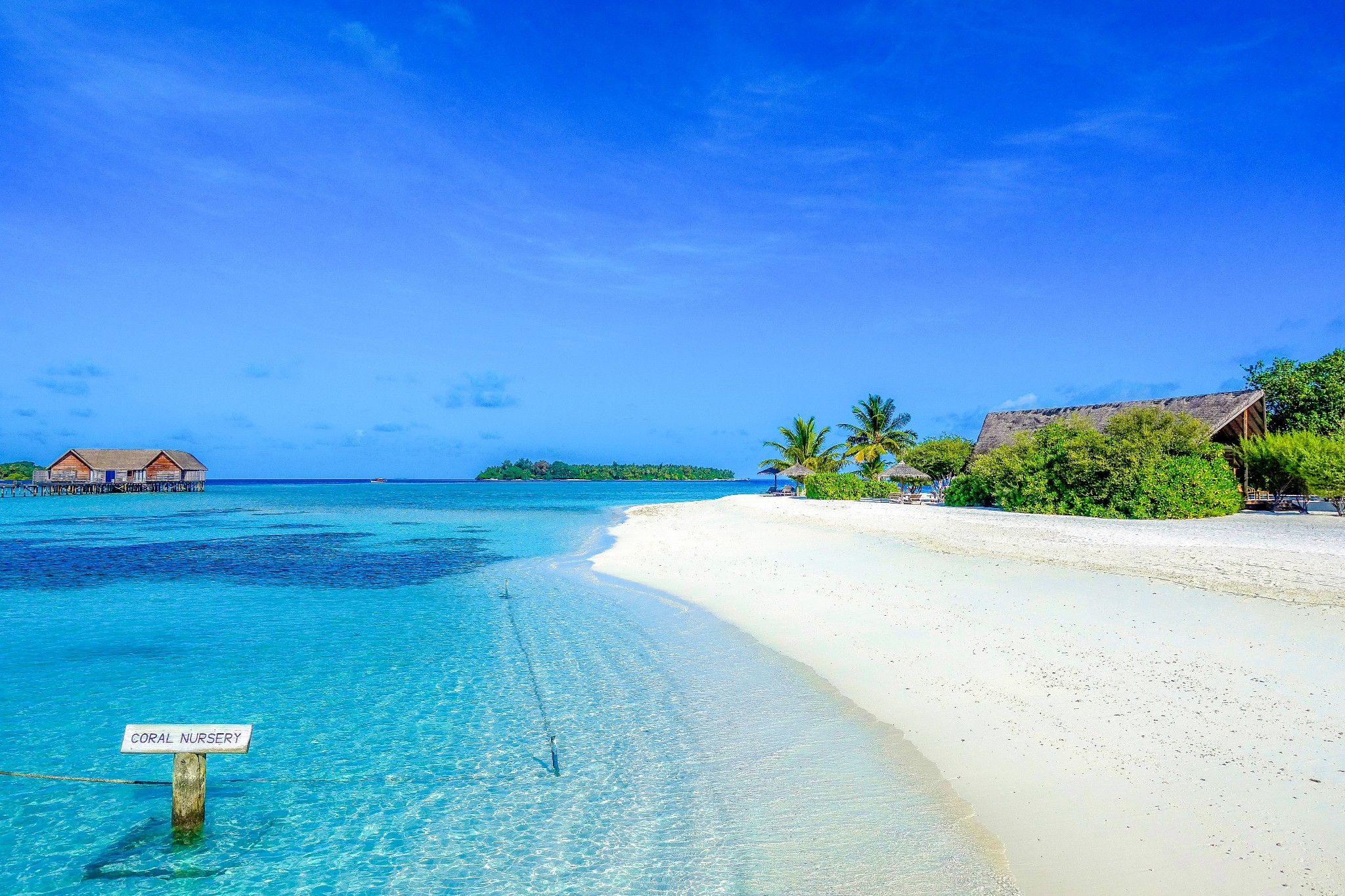 可可亚岛马尔代夫最安静的度假岛超高私密性