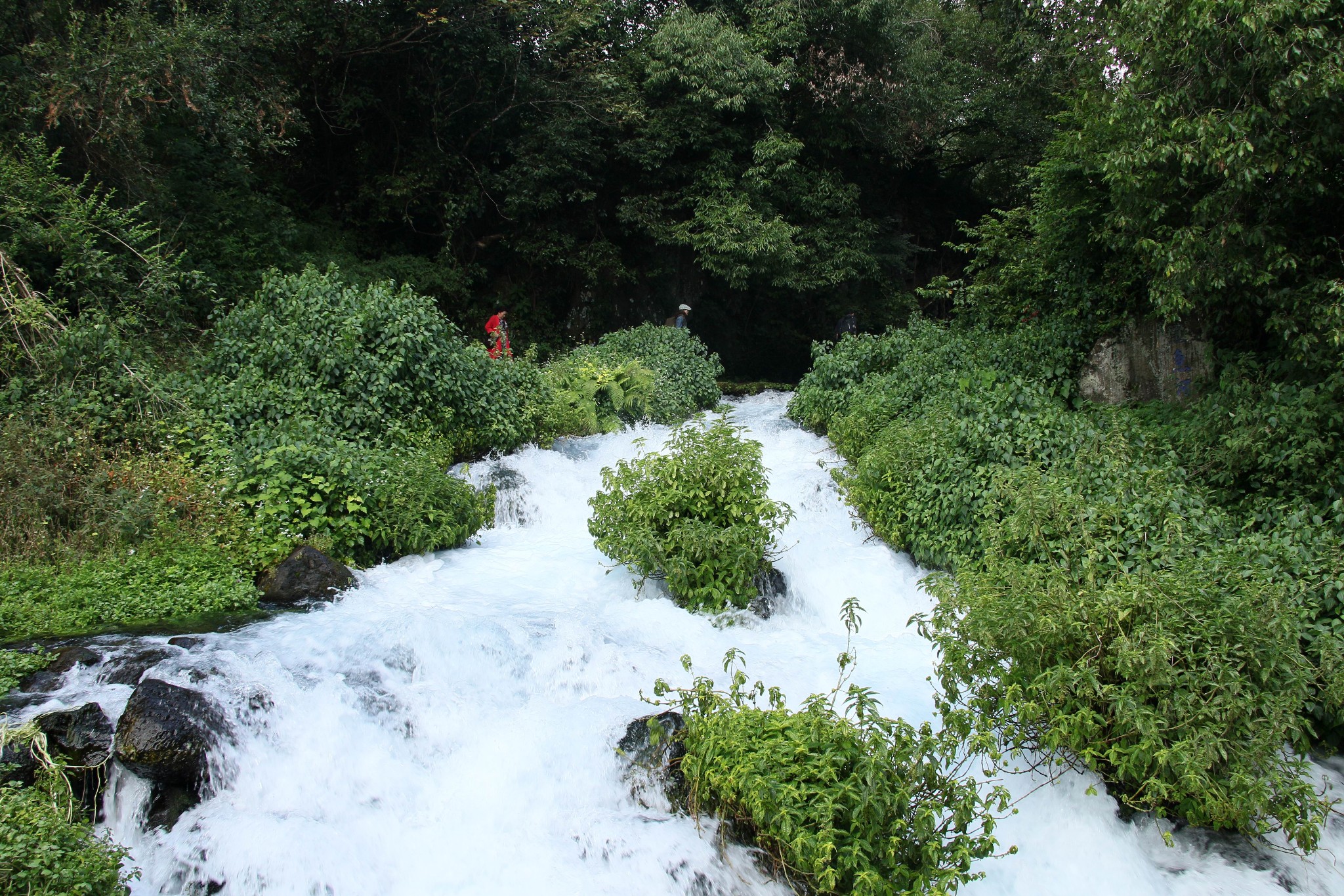 雲南騰衝黑魚河風景區,騰衝旅遊攻略 - 馬蜂窩