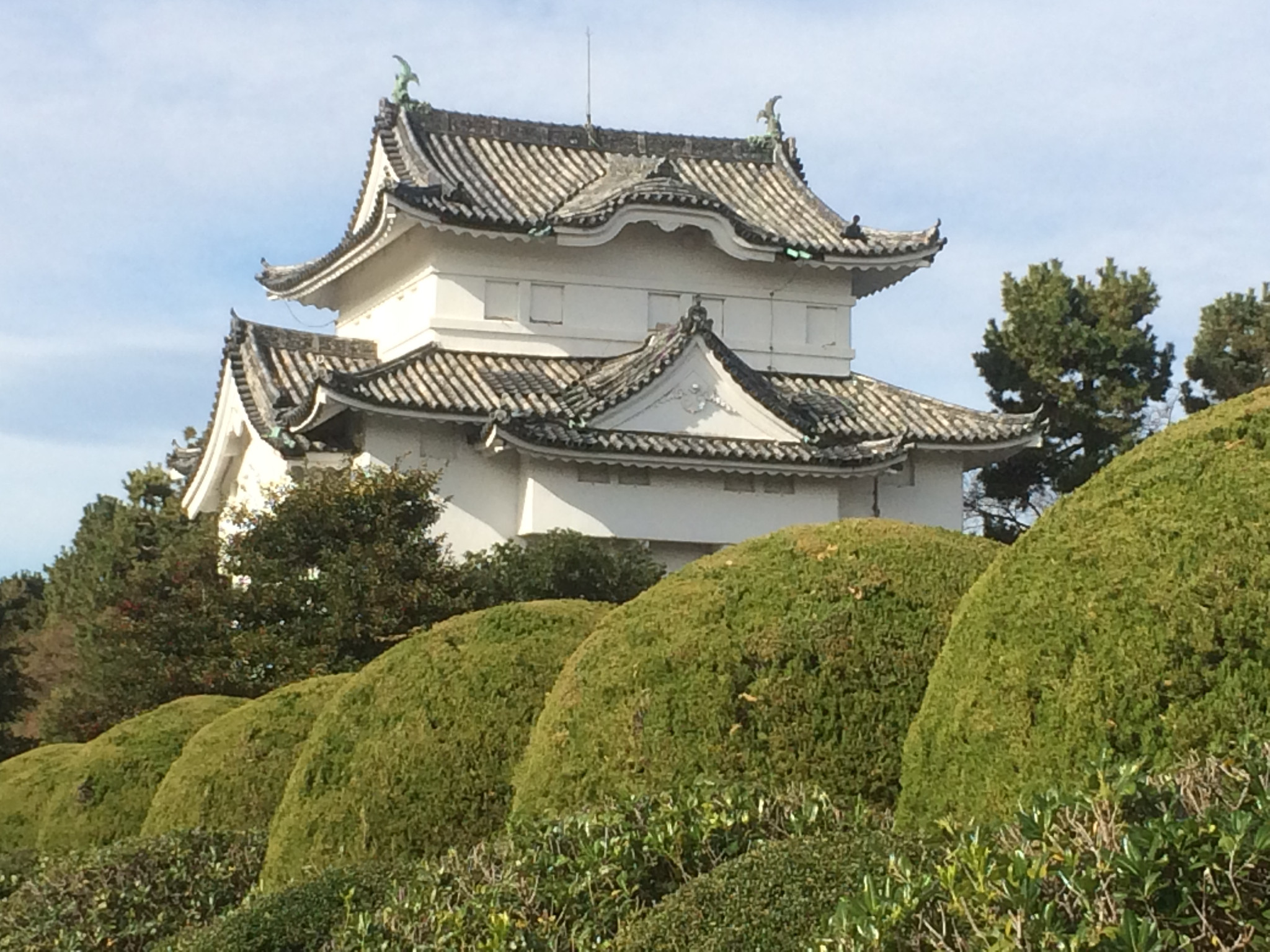 名古屋自助遊攻略