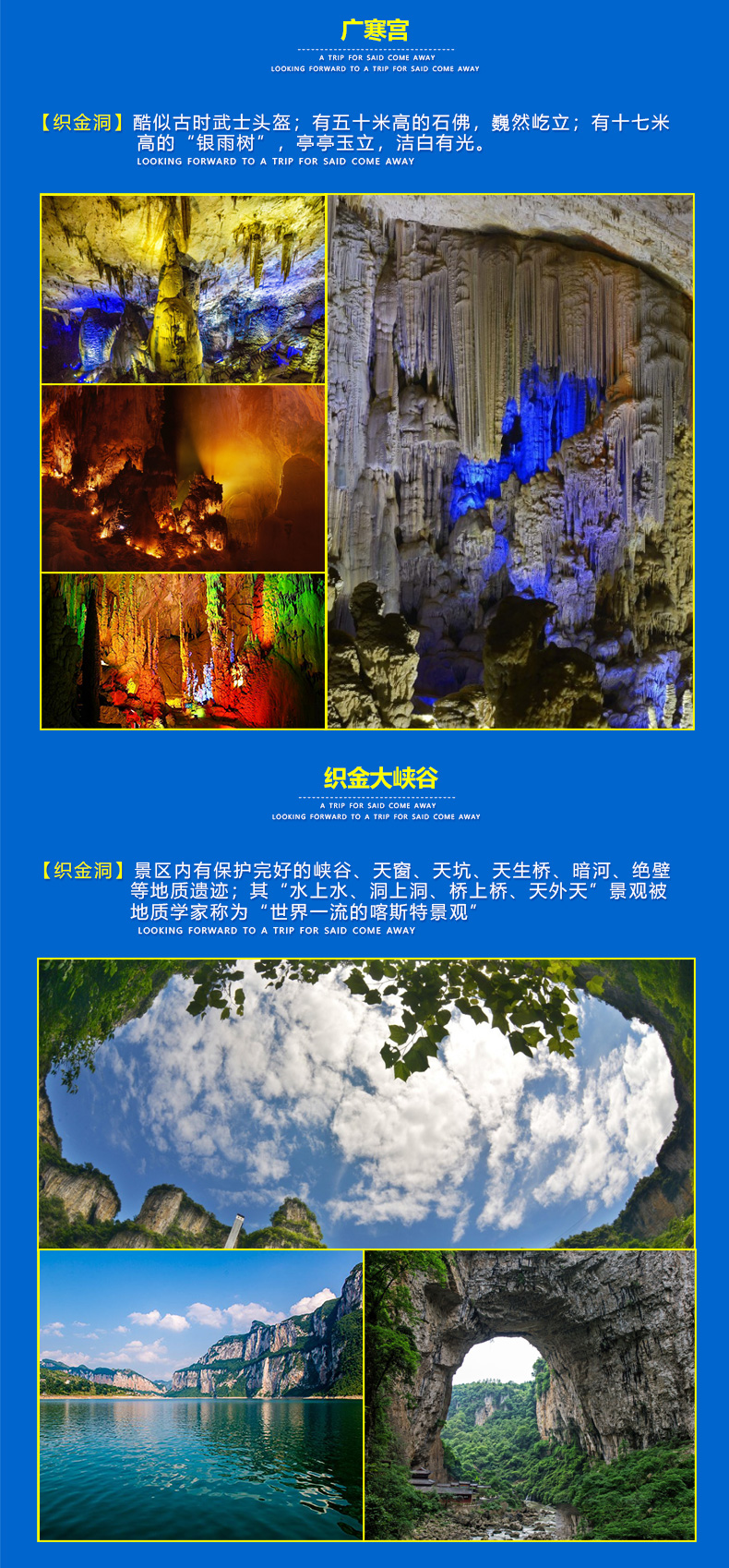 贵州中国奇洞之首织金洞纯玩一日游绝无强制购物含门票贴心导游特色