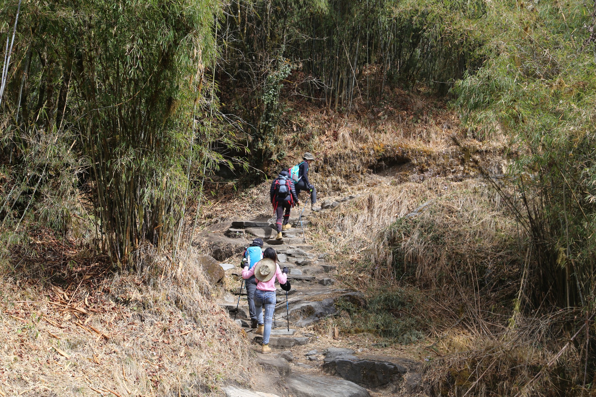 尼泊爾自助遊攻略