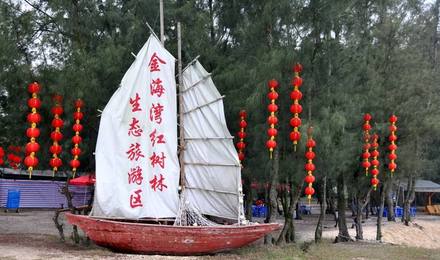 北海金海湾红树林门票 疍家欢乐赶海 挖螺工具 收鱼笼 快艇 景区观光