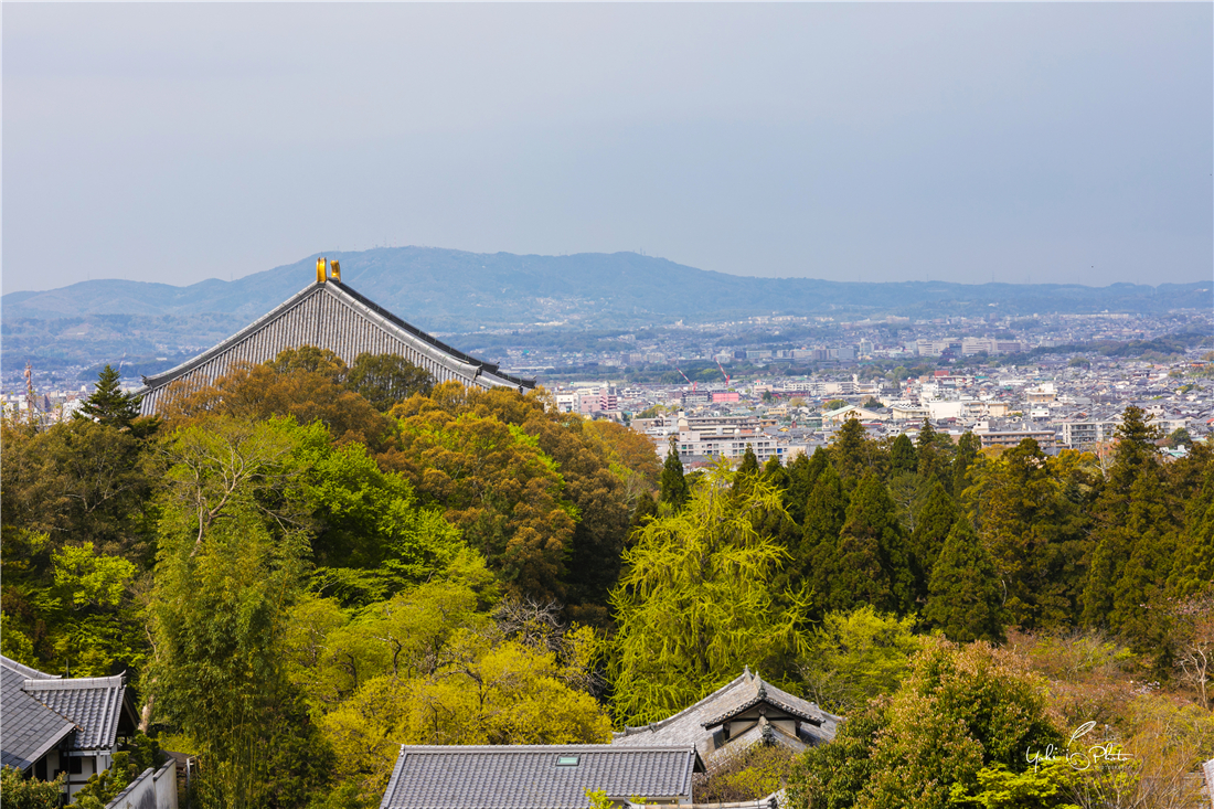 京都自助遊攻略