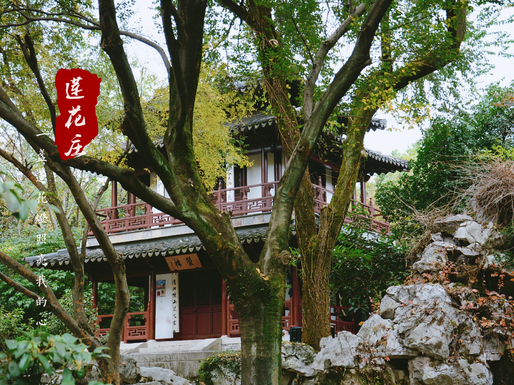 来湖州不去南浔,市区也可以感受古镇与园林气息