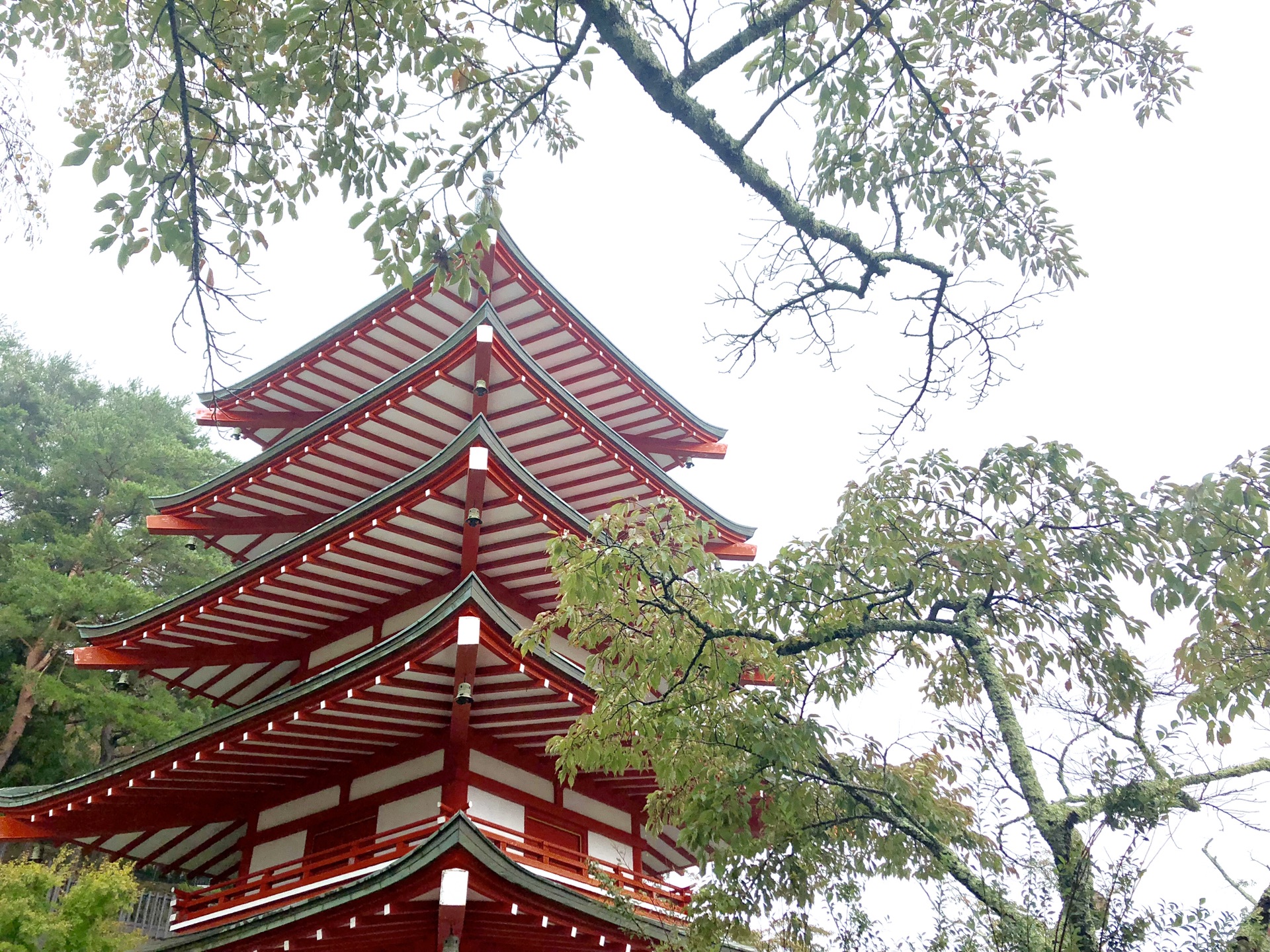 東京自助遊攻略