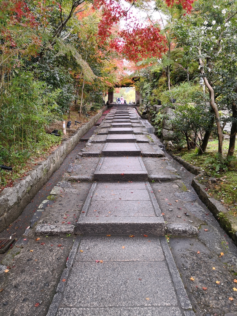 京都自助遊攻略