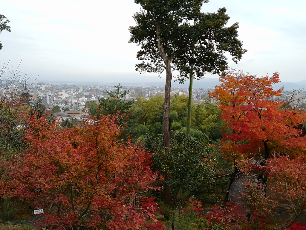 京都自助遊攻略