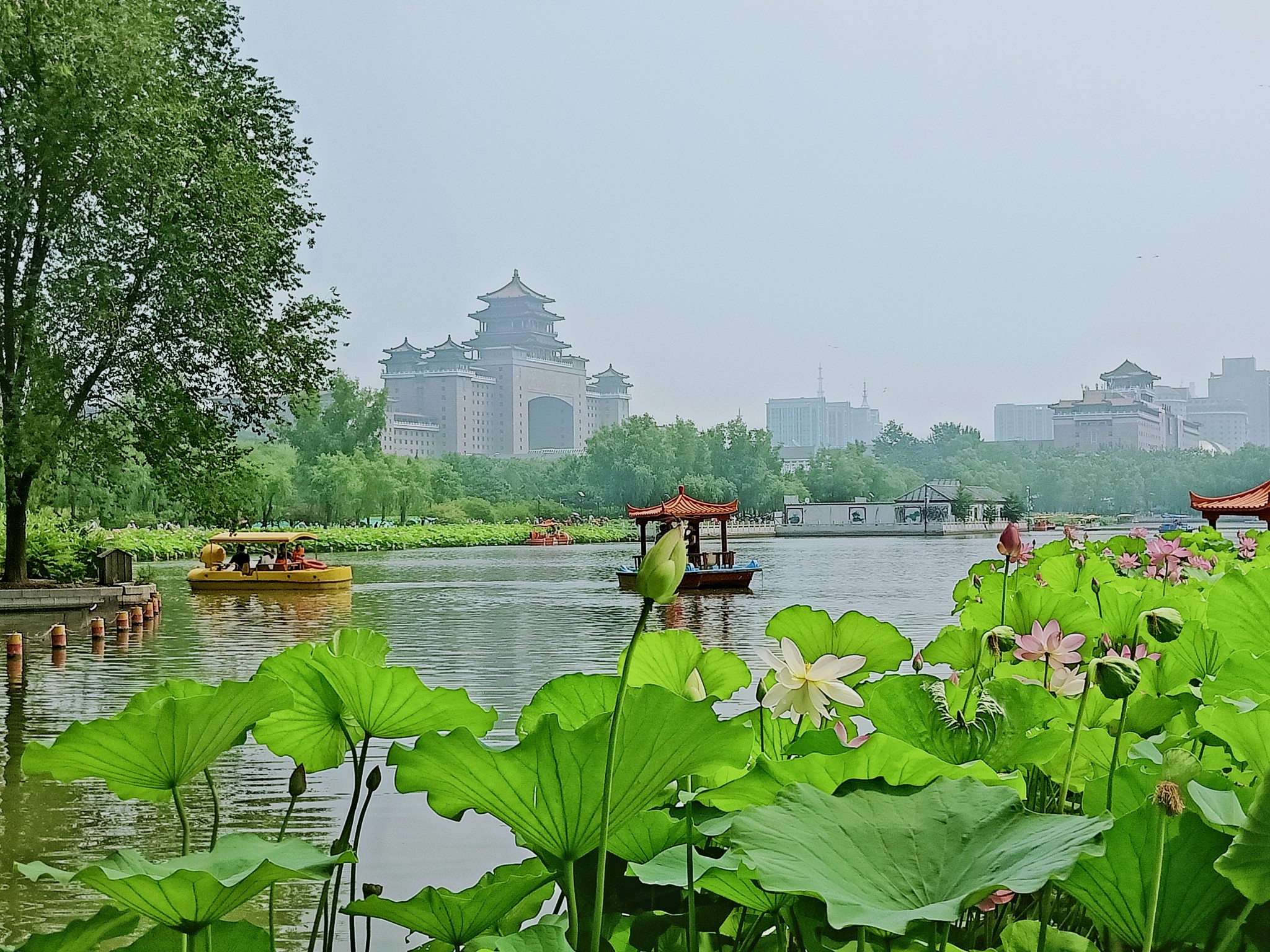 北京莲花池公园