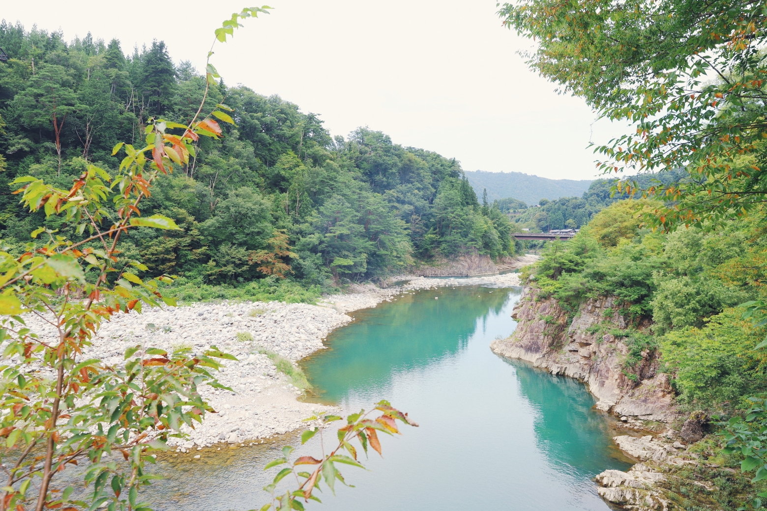 名古屋自助遊攻略