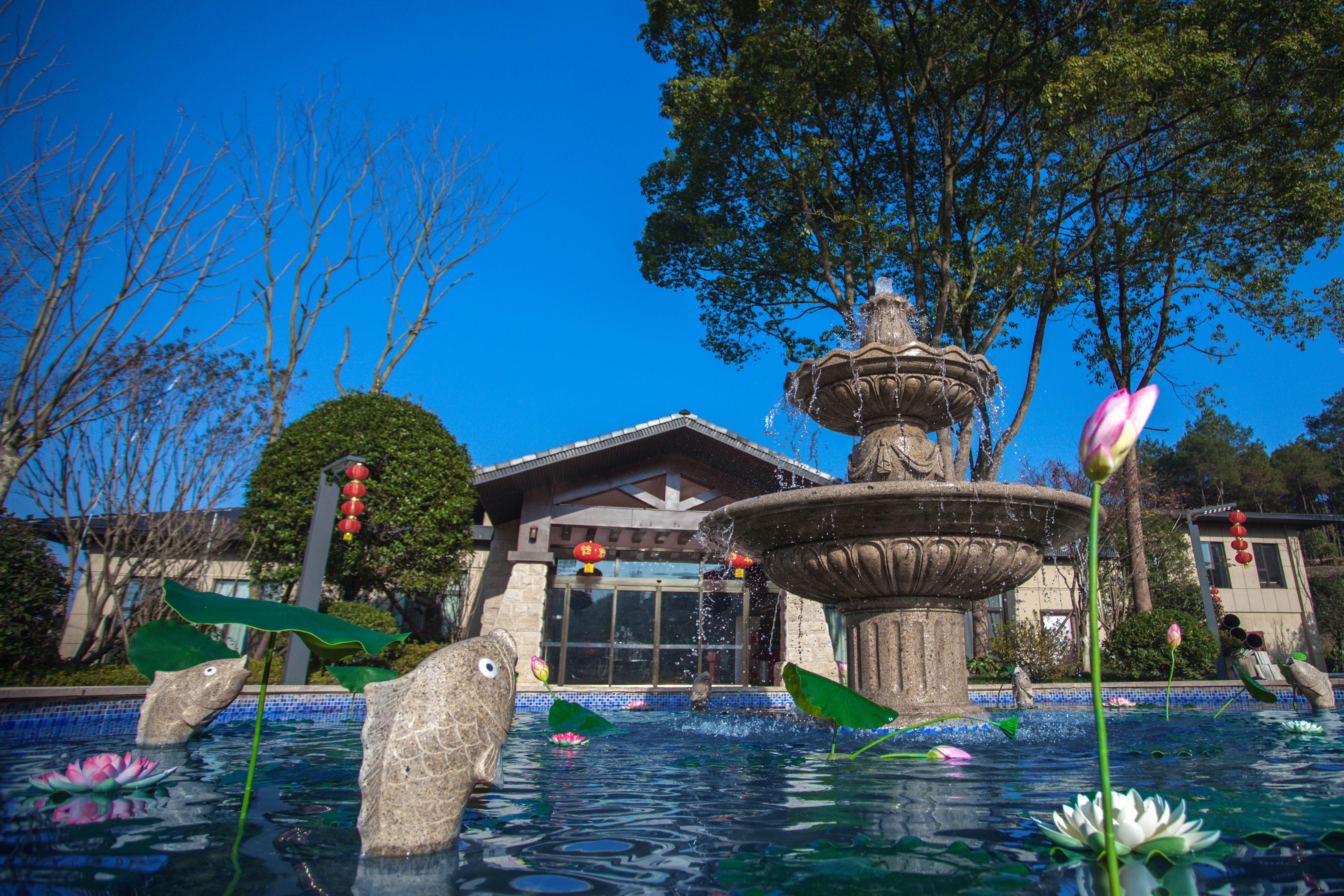 平江白鹭湖国际度假区梧桐酒店价格_地址_图片_点评,平江bailu lake