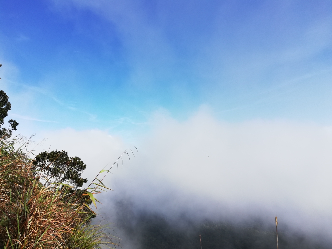 人口的尖峰_尖峰岭(2)