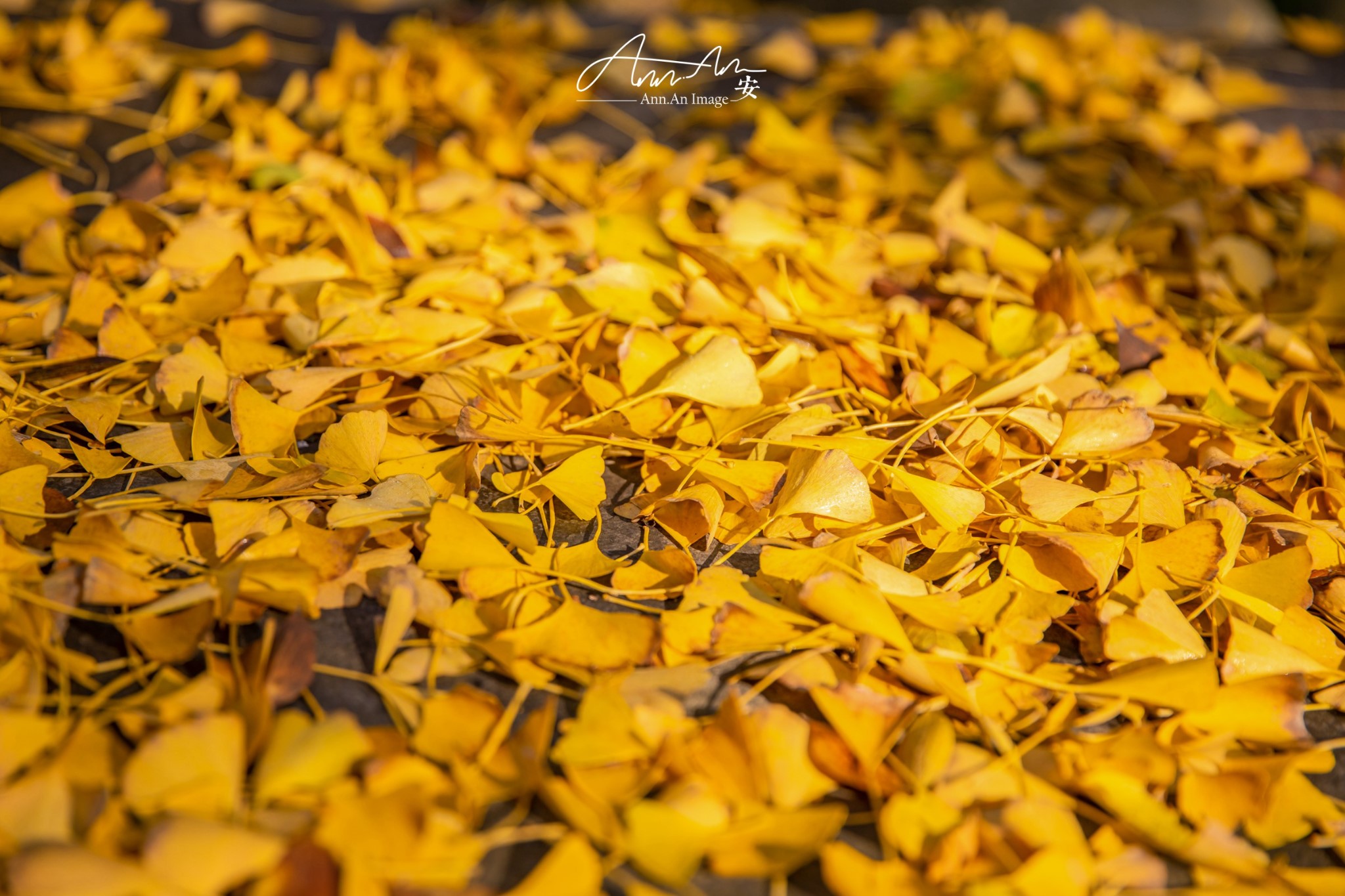 海盐小城,给你的温柔盐系周末