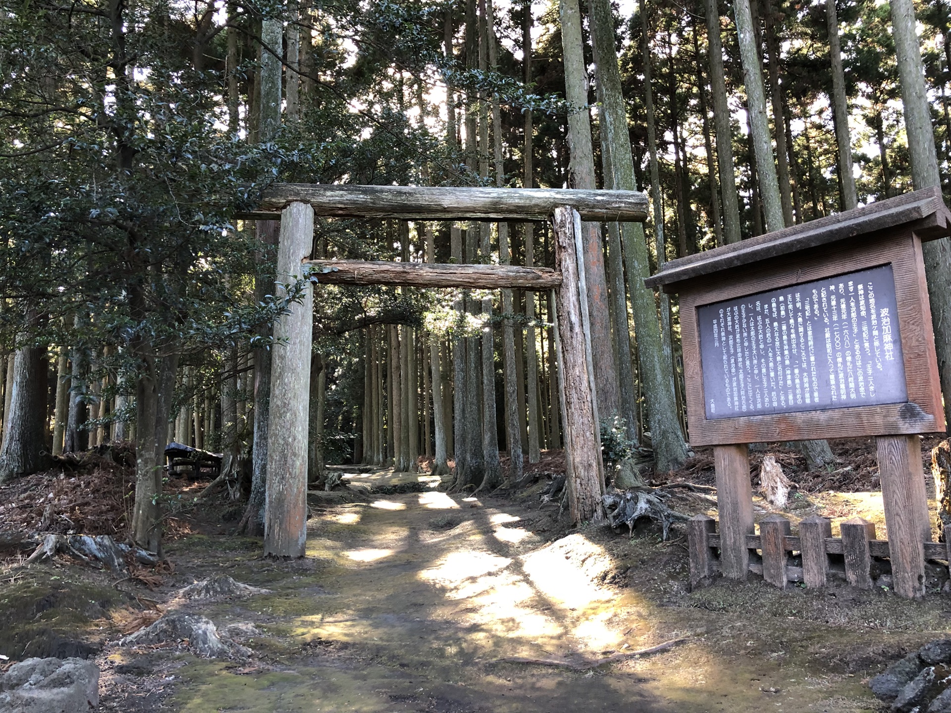 東京自助遊攻略