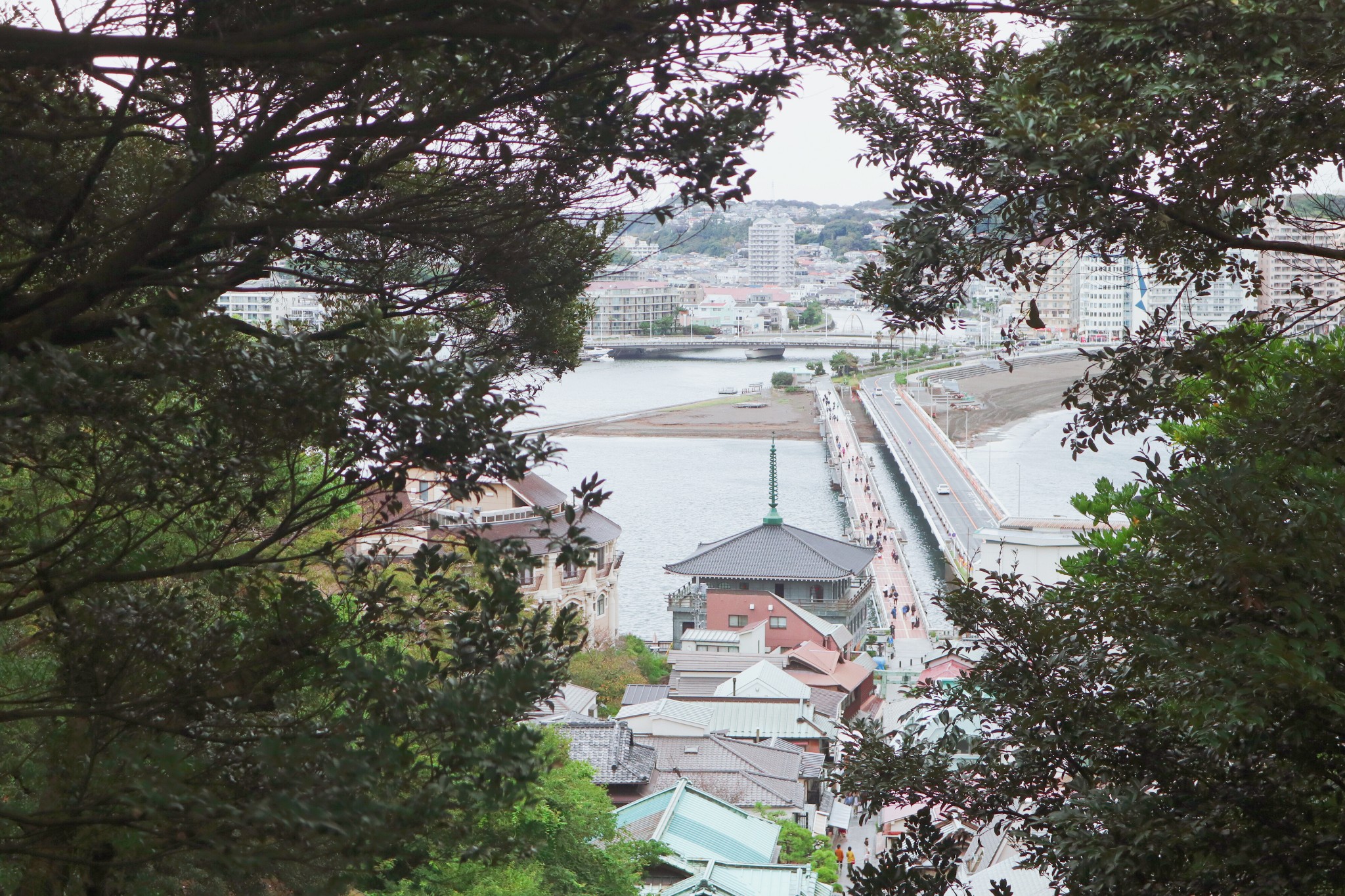 東京自助遊攻略