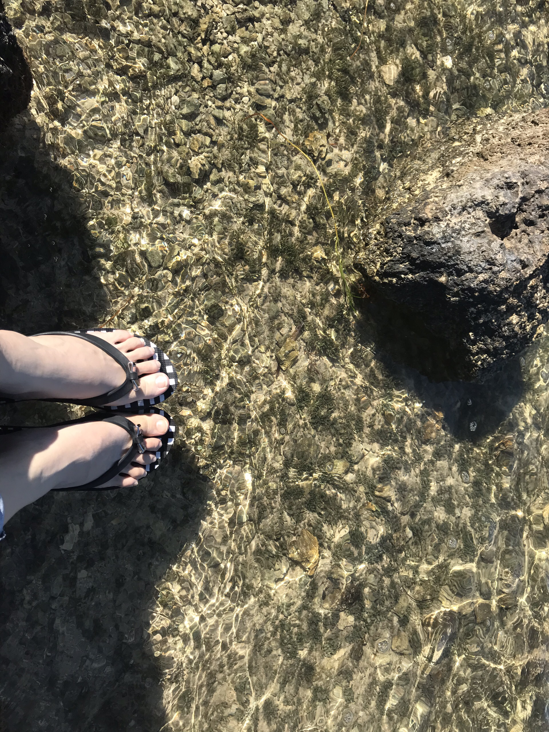 John Pennekamp Coral Reef State Park Concession