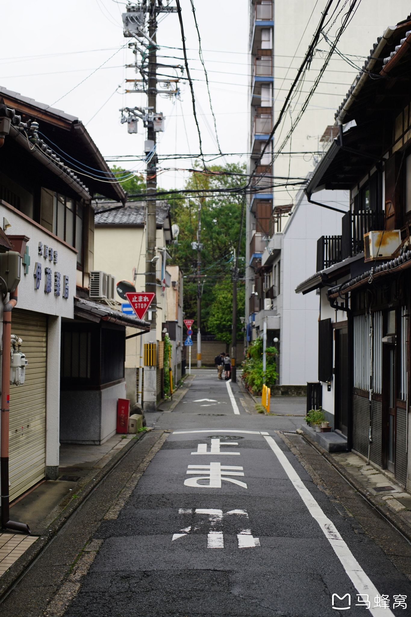 京都自助遊攻略