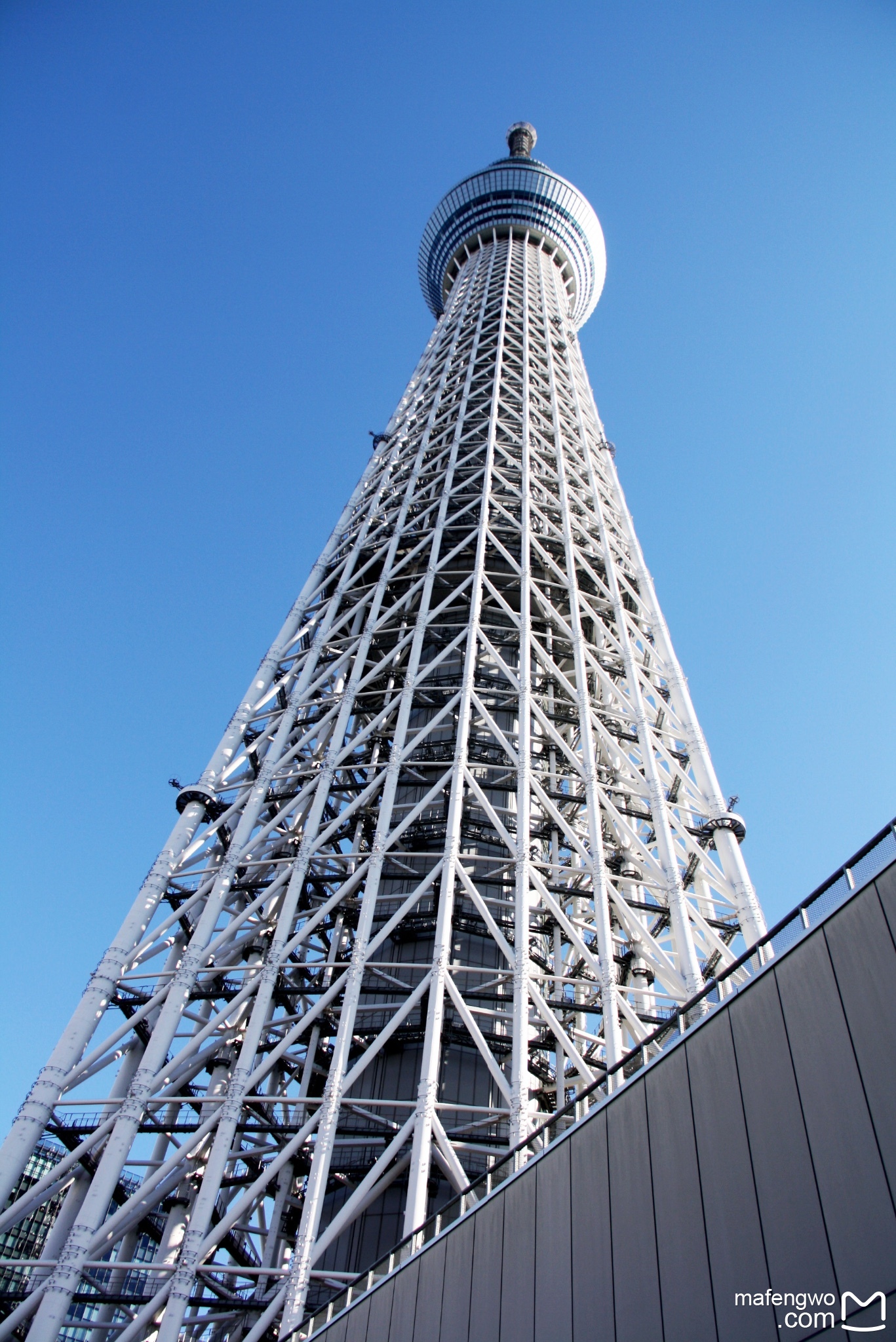 東京自助遊攻略