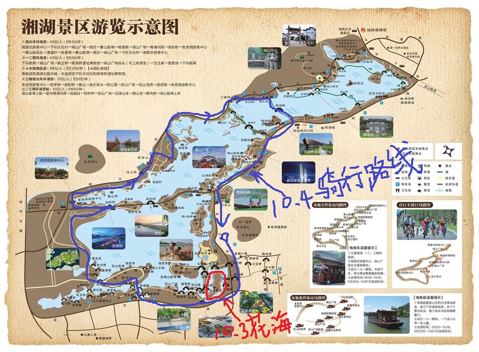 杭州湘湖国庆错峰骑行三期花海