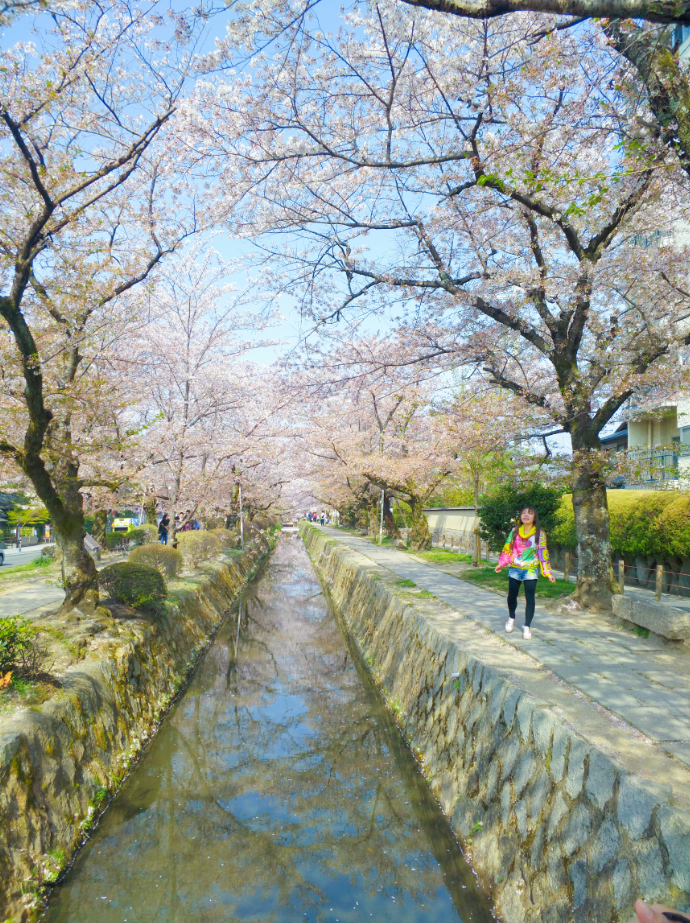 京都自助遊攻略