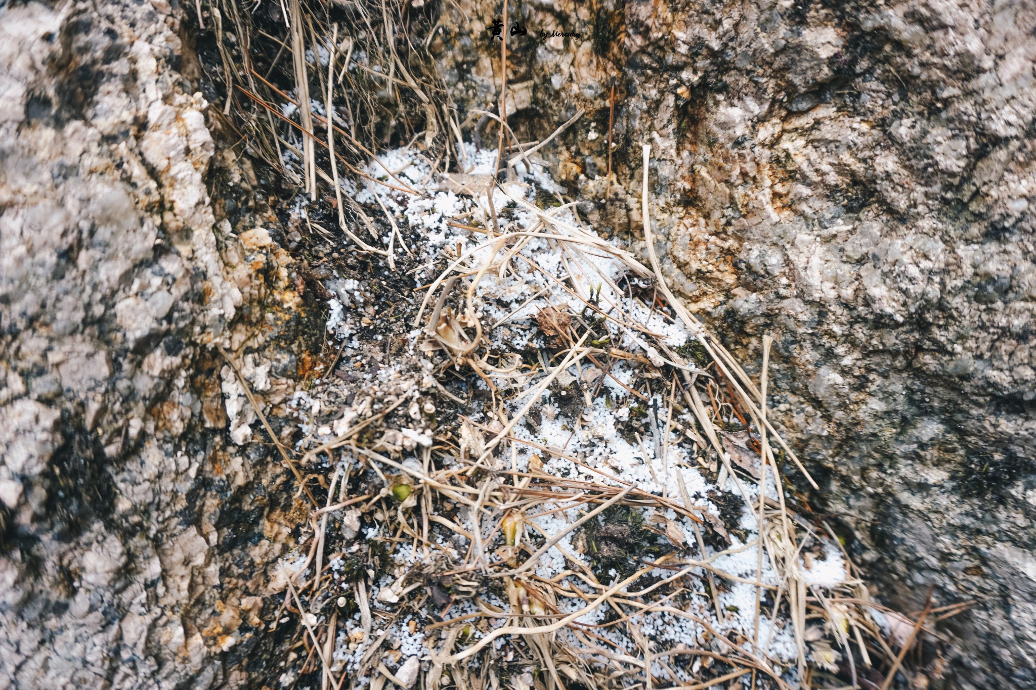 黄山风景区