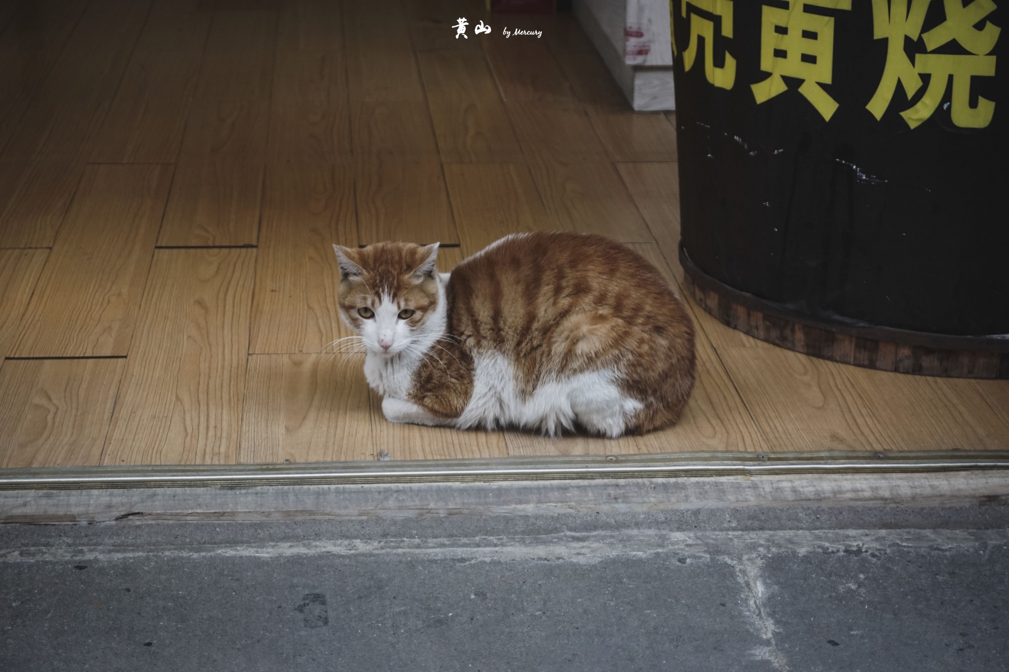 屯溪老街